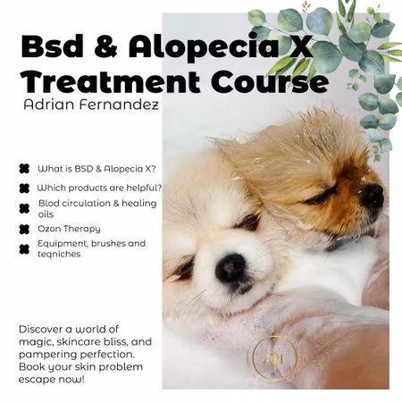 BSD & ALOPECIA X - WEBINAR WITH ADRIAN FERNANDÈZ "PRE-RECORDED"