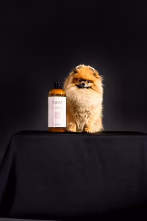 Always Coat Up Champú  – Fórmula para Realzar el Volumen (Línea Profesional)