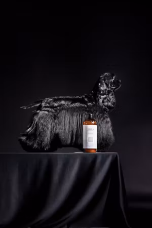 ALWAYS Silky Shampoo – Designed for Long Coats (Professional Line)