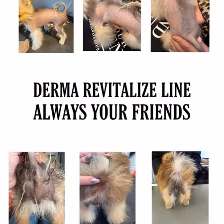 Always Your Friend - Derma Rivitalize Nourish Schampo 250 ml