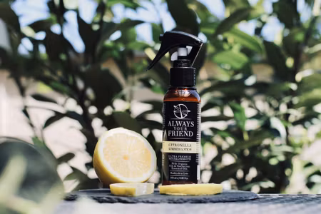 Always Your Friend Citronella Summer Lotion Skin Protection