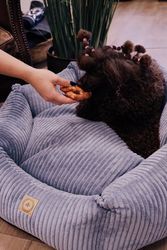 Always Dog Bed Blue Square