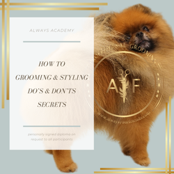 POMERANIAN WEBINAR WITH POM-GURU, ADRIAN FERNANDÈZ - "PRE-RECORDED"