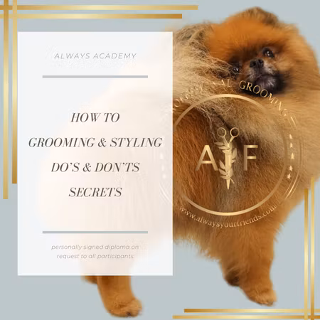 POMERANIAN WEBINAR WITH POM-GURU, ADRIAN FERNANDÈZ - "PRE-RECORDED"