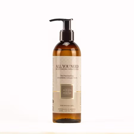 ALWAYS All You Need Conditioner 235ml