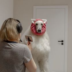 MILLOR DOG - TOWEL PIGGY
