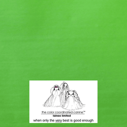 LAINEE - WRAPPING PAPERS PLASTAT  HOT GREEN