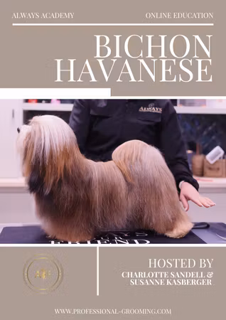 BICHON HAVANESE WEBINAR - CHARLOTTE SANDELL & SUSANNE KASBERGER