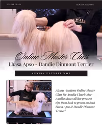 LHASA APSO, DANDIE DINMONT TERRIER WEBINAR - ANNIKA ULTVEIT MOE