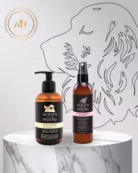 BULLWORKS - EVERYDAY KIT