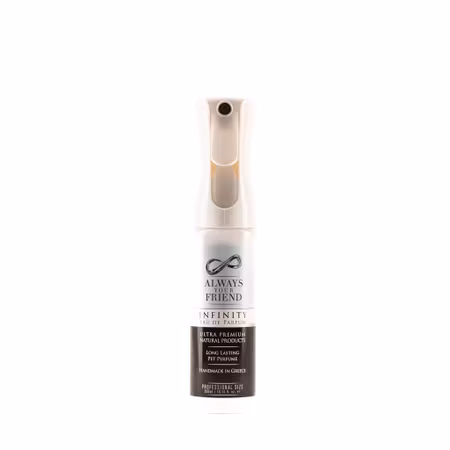 Always Your Friend Infinity The Forever Perfume Spray
