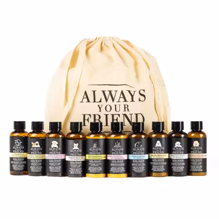 Always Your Friend - Travel sizes / Testers / Celestial Conditioner