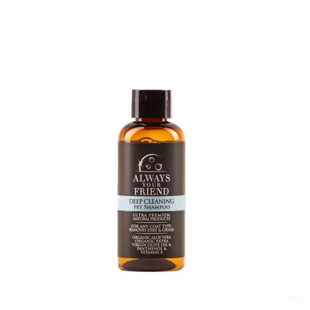 Always Your Friend - Travel sizes / Testers / Celestial Conditioner