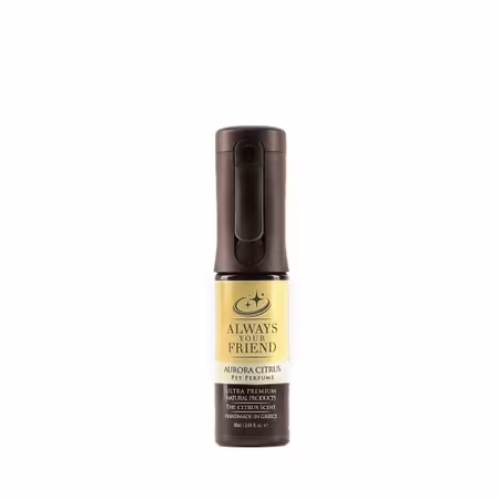 Always Your Friend Aurora Citrus Perfume Spray