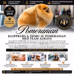 Always Academy Sweden, Billdal - Pomeranian Klippkurs Torsdag 20/8