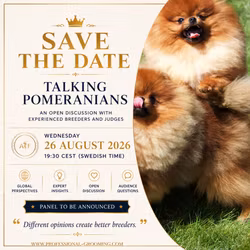 TALKING POMS - An Open Discussion with Experienced Breeders and Judges