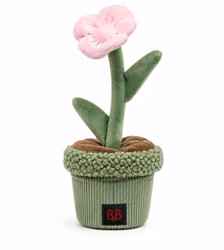 BB - Pawtanic Garden Blomma