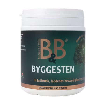 BB - Byggesten 100g