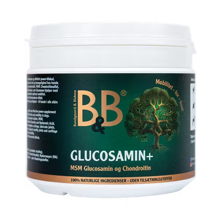 BB - Glukosamin+ 500g
