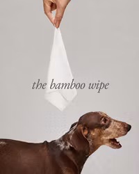 BB - Bamboo Wipes
