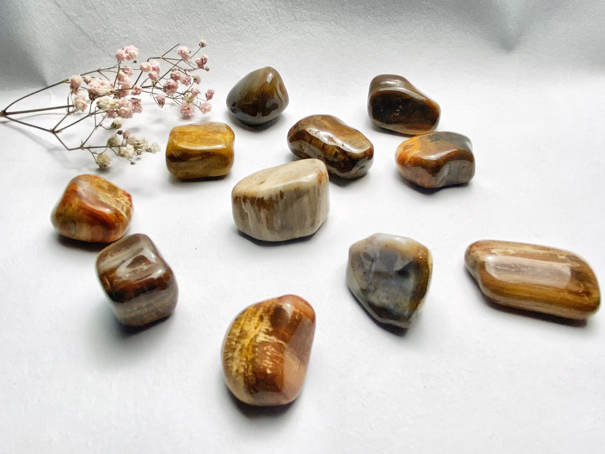 Förstenat, trä trumlade AA liten