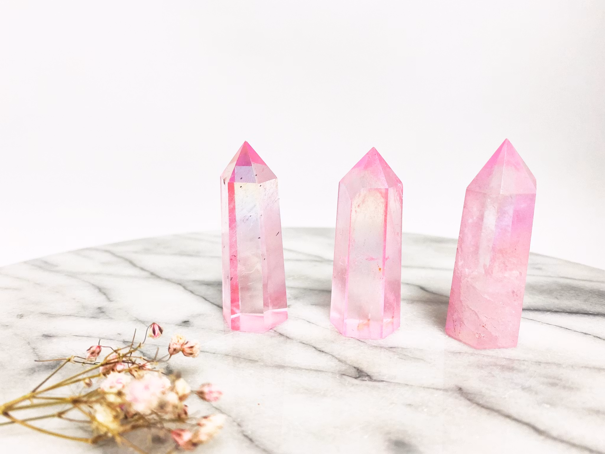 Rosa aura spets