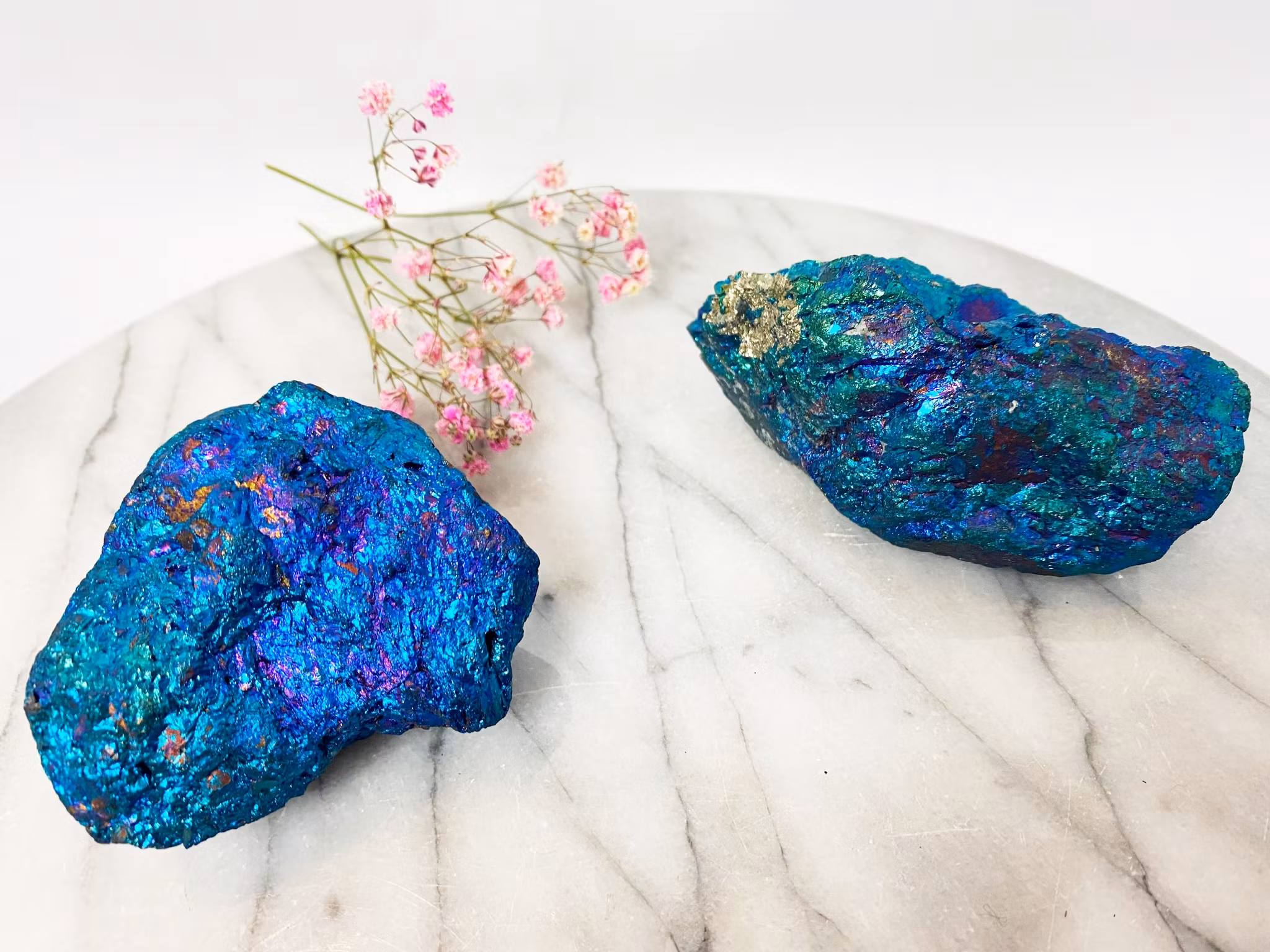 Bornit rå (påfågel koppar)