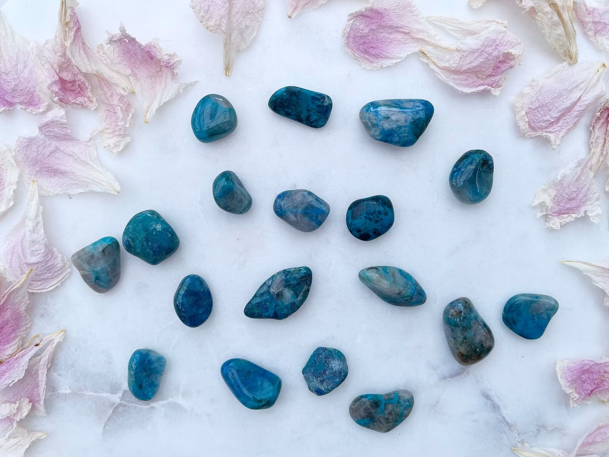 Quantum Quatro, Trumlad