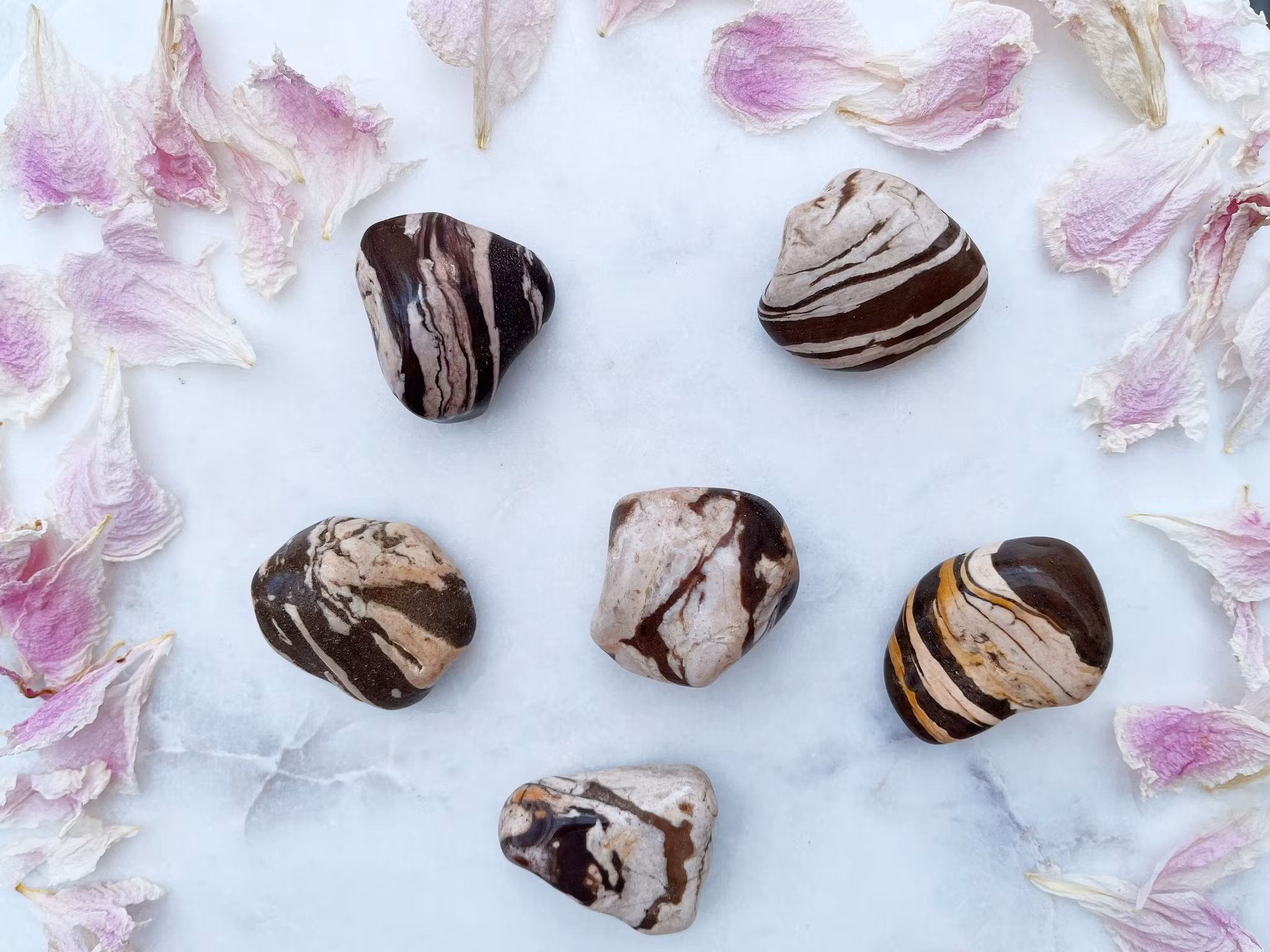 Zebra agat  (trumlade) A