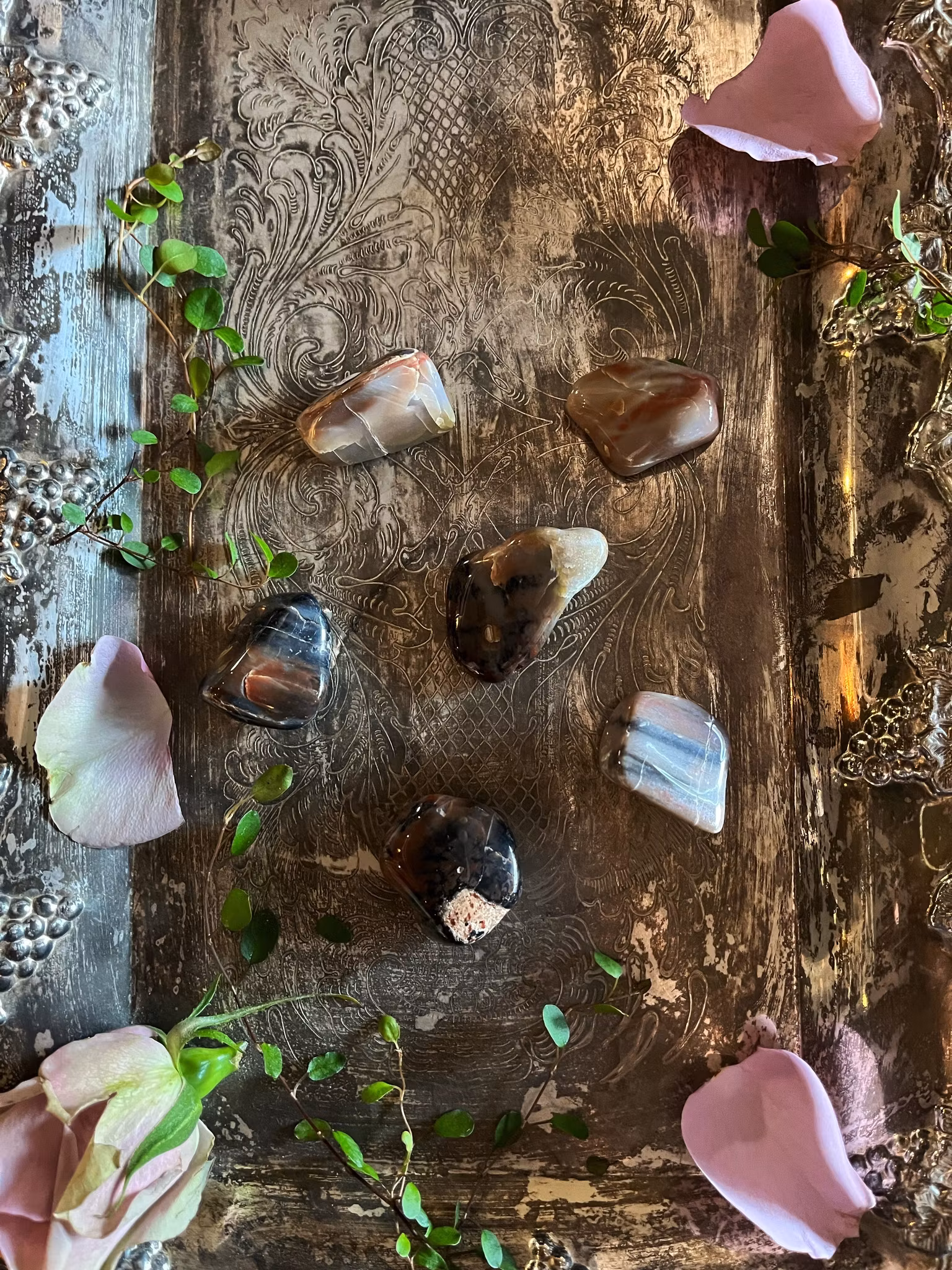 Förstenat, trä trumlade AA mellan