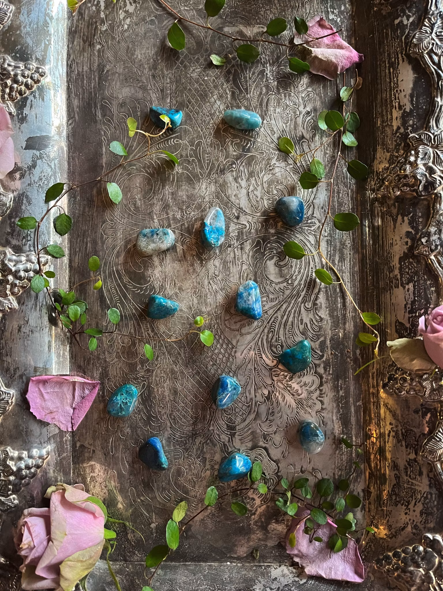 Quantum Quatro, Trumlad