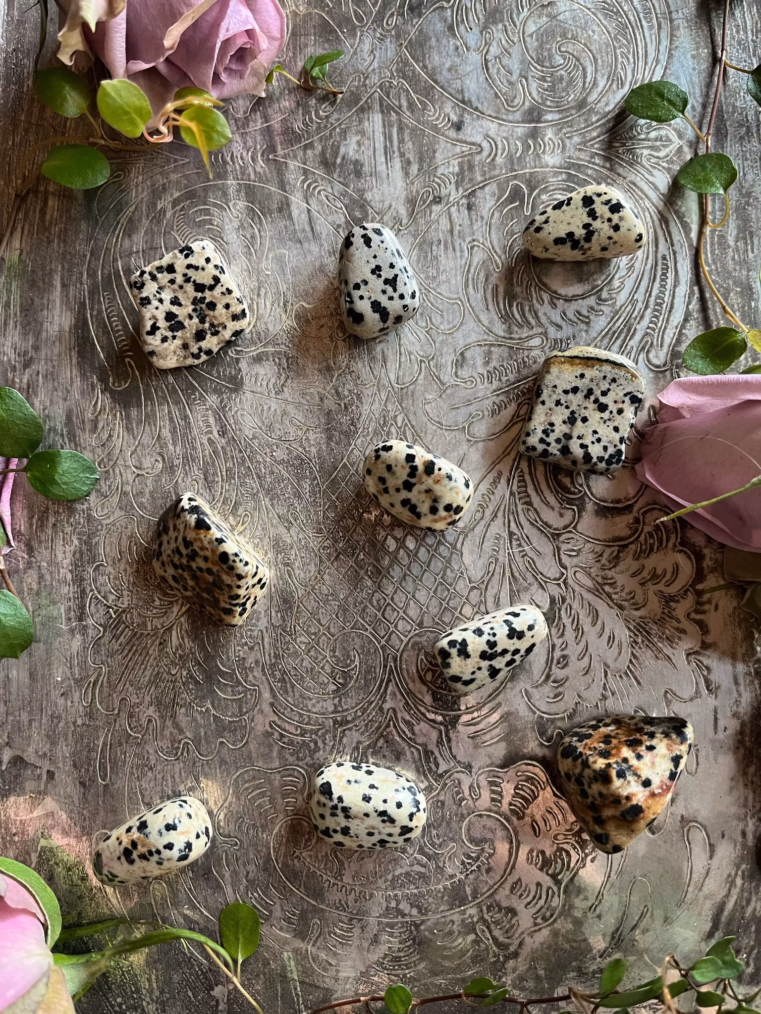 Dalmatine jaspis (trumlade)