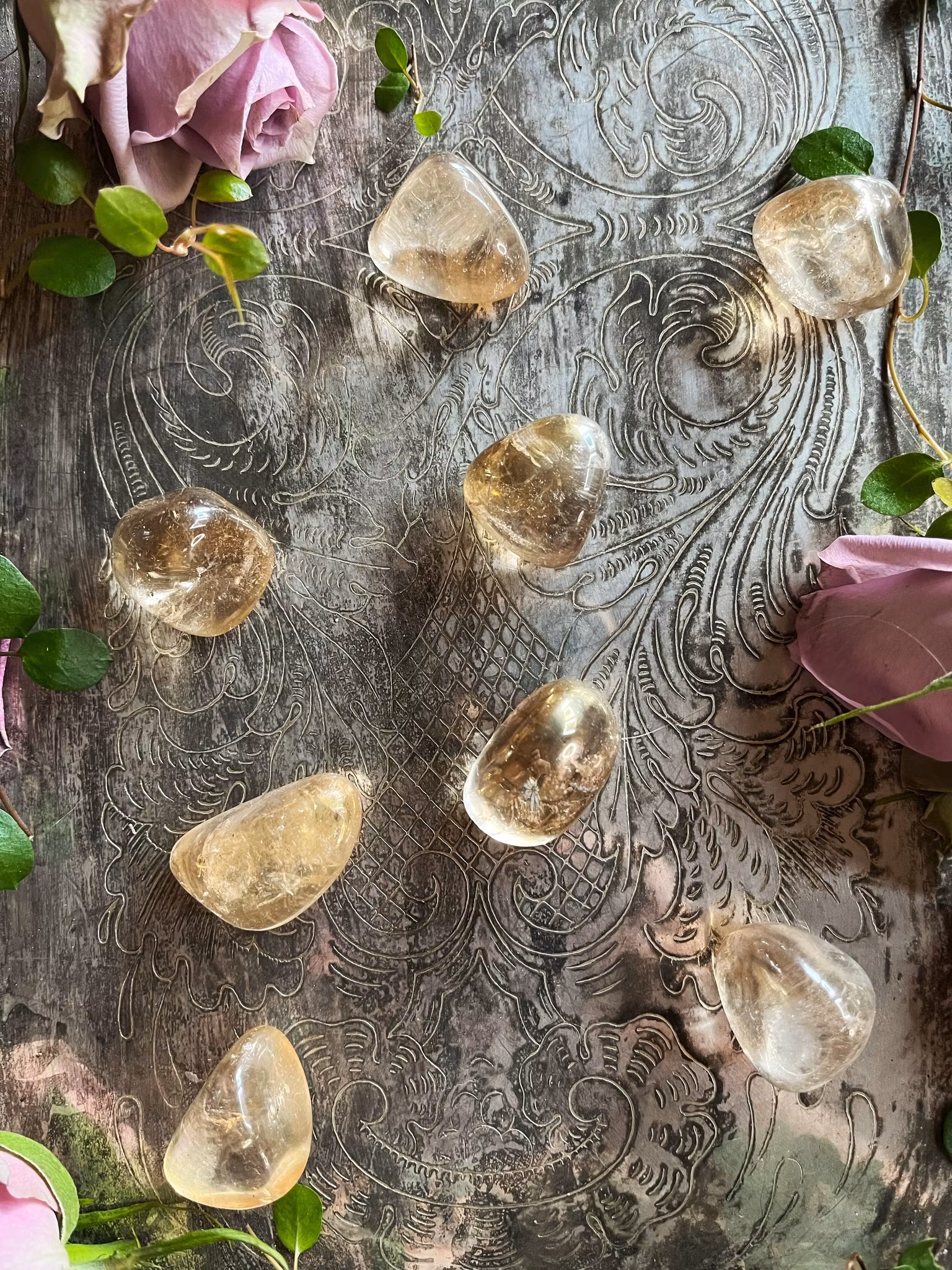 Aura Sunrise, Trumlade