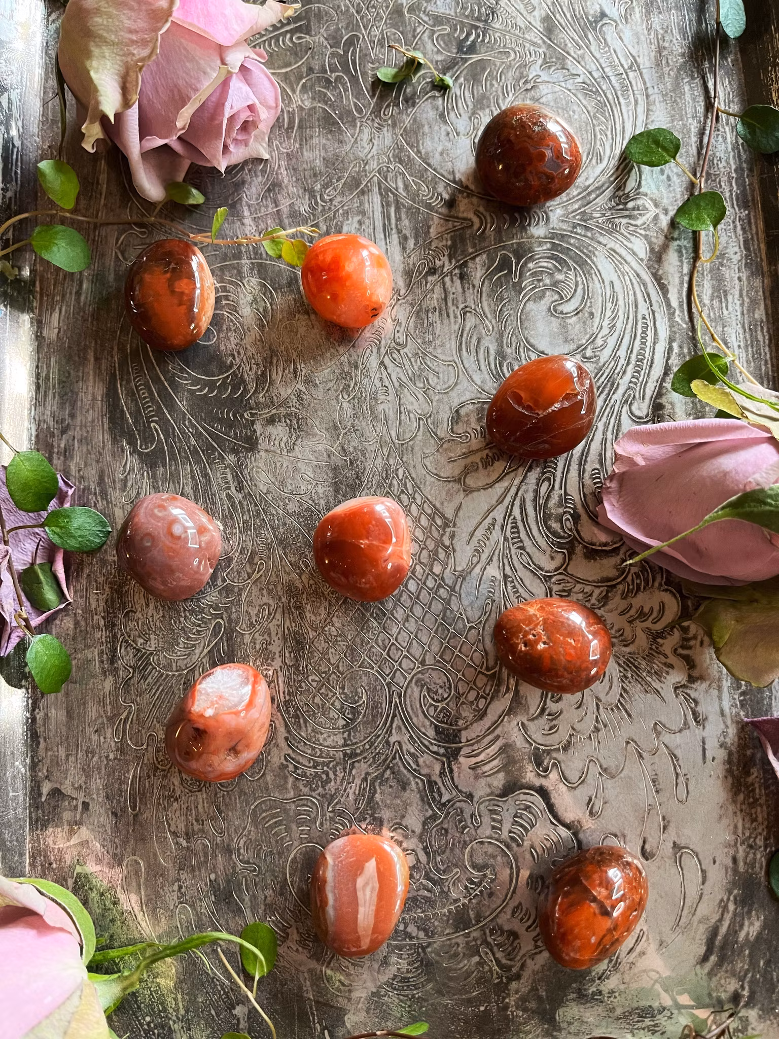 Agat, Rödband trumlade