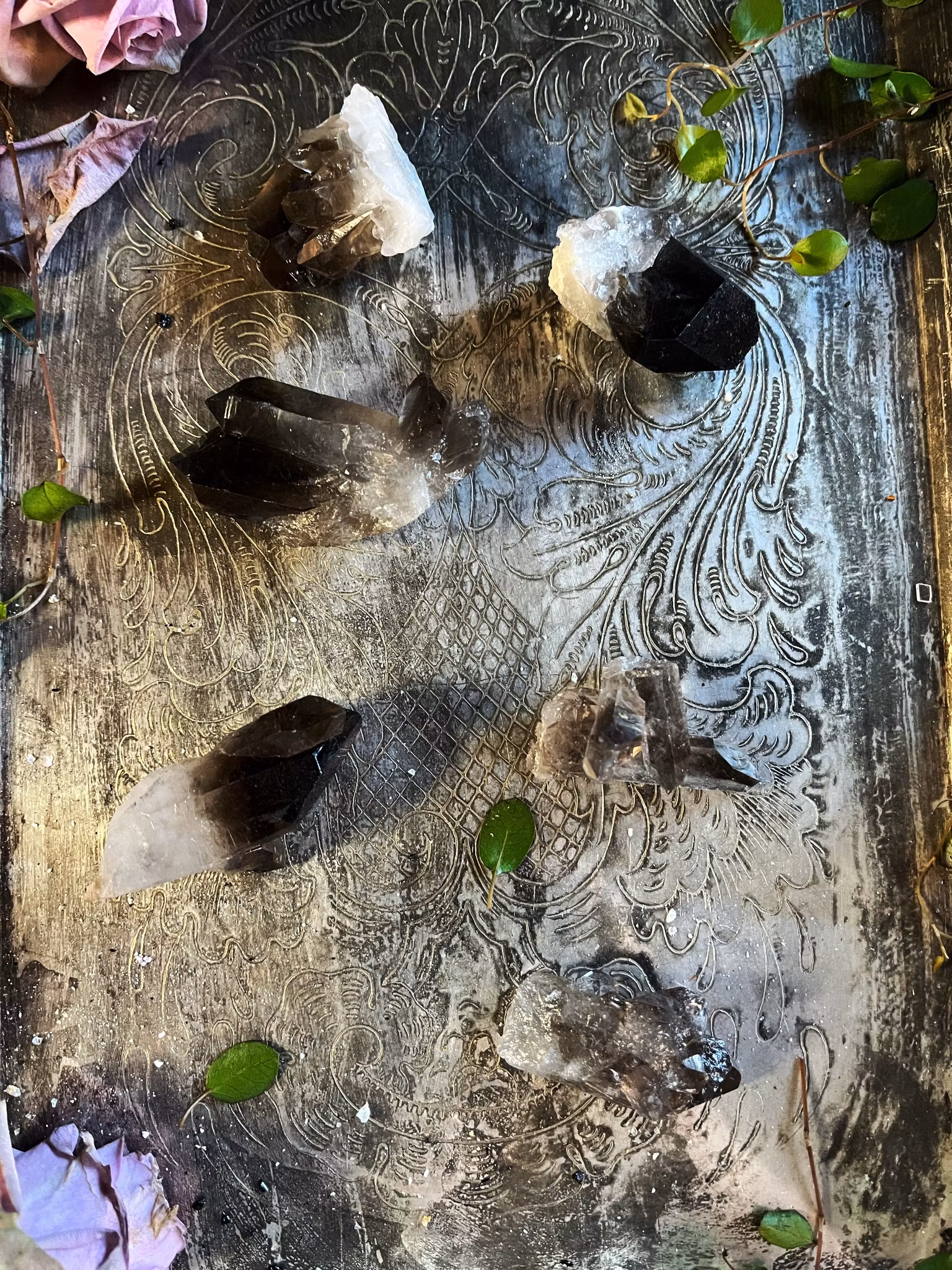 Rökkvarts  kluster/spets mini