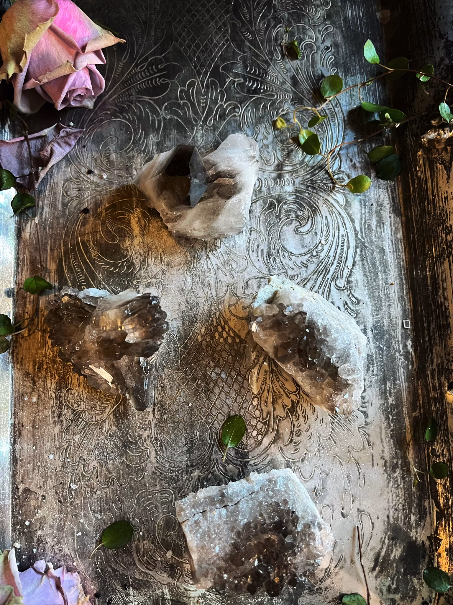 Rökkvarts  kluster/spets mellan