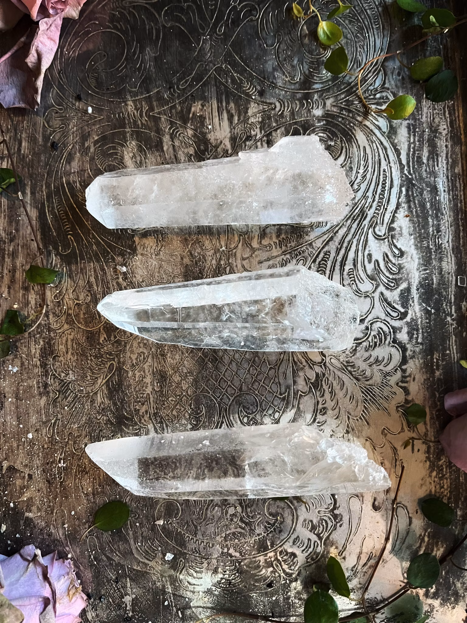 Lemurian Spets stor