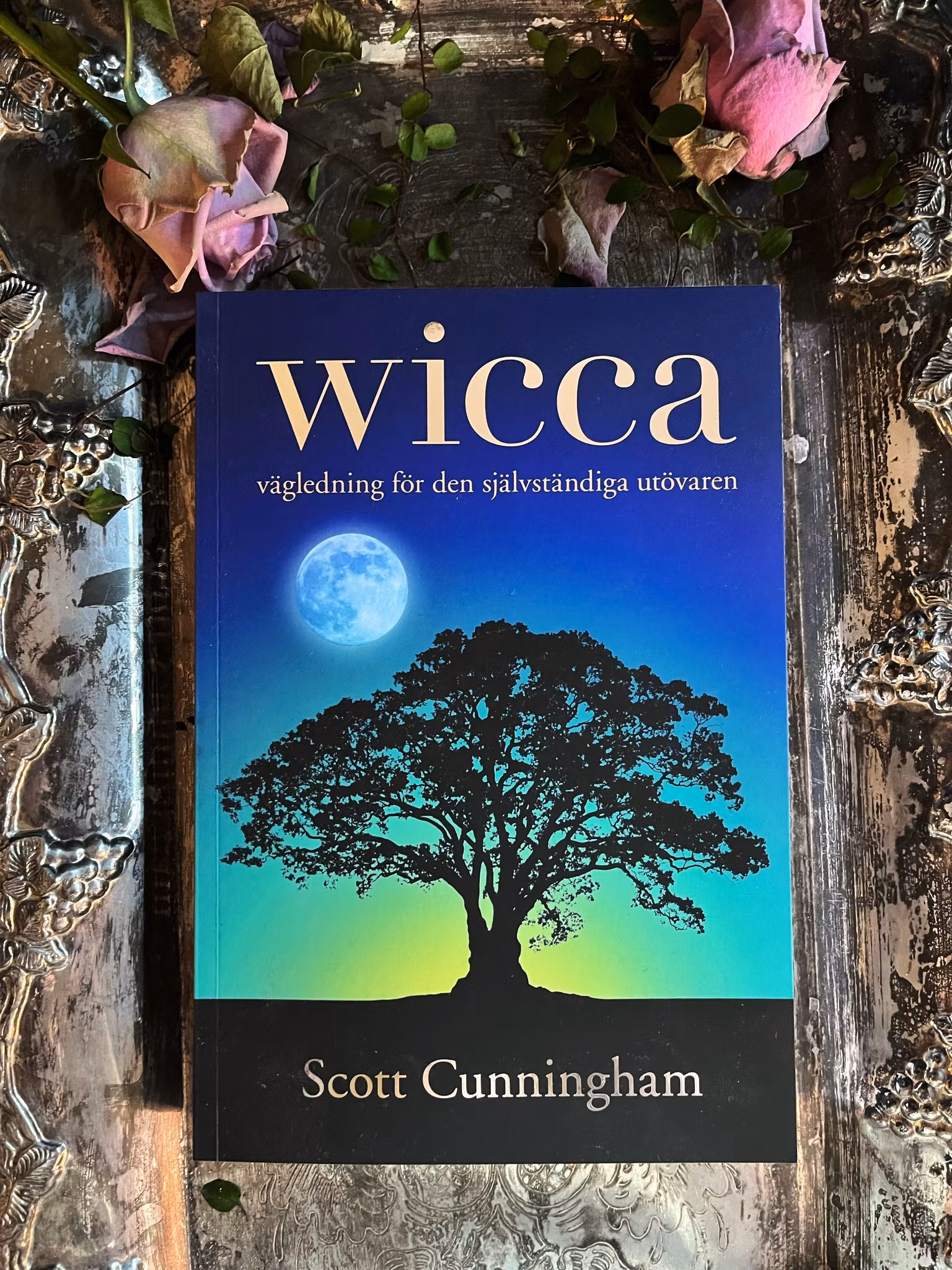 Wicca : vägledning för den självständiga utövaren