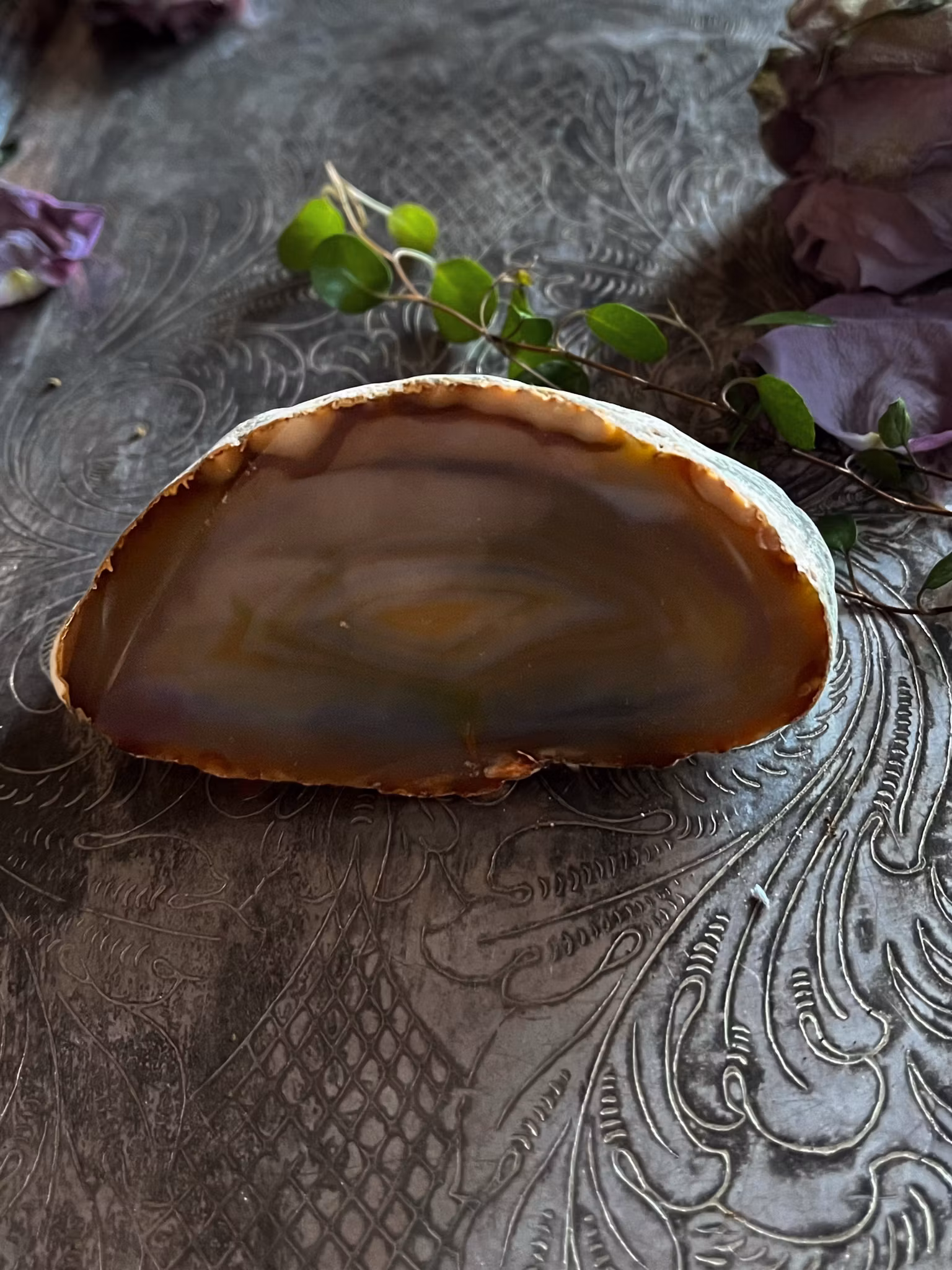 Agat, Geoder Halvpolerade Nr:19