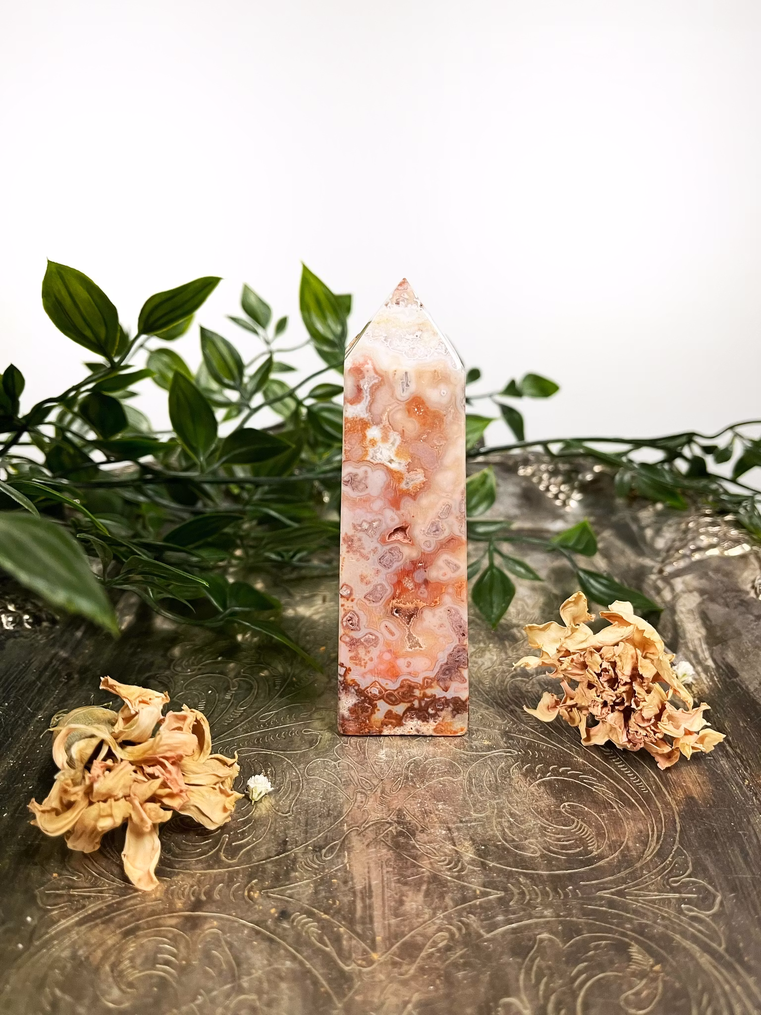 Rosa Crazy lace torn #3