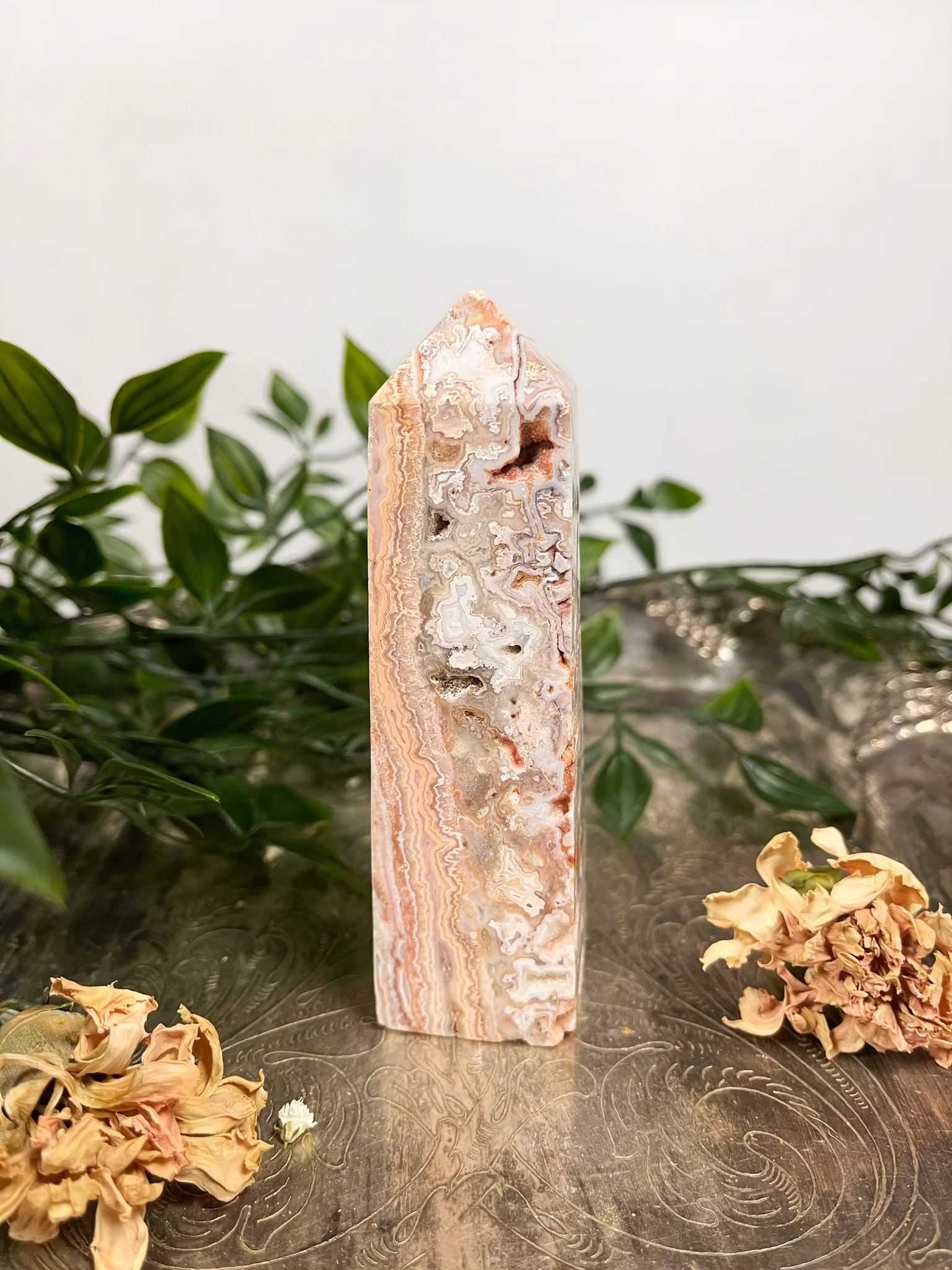 Rosa Crazy lace torn #4