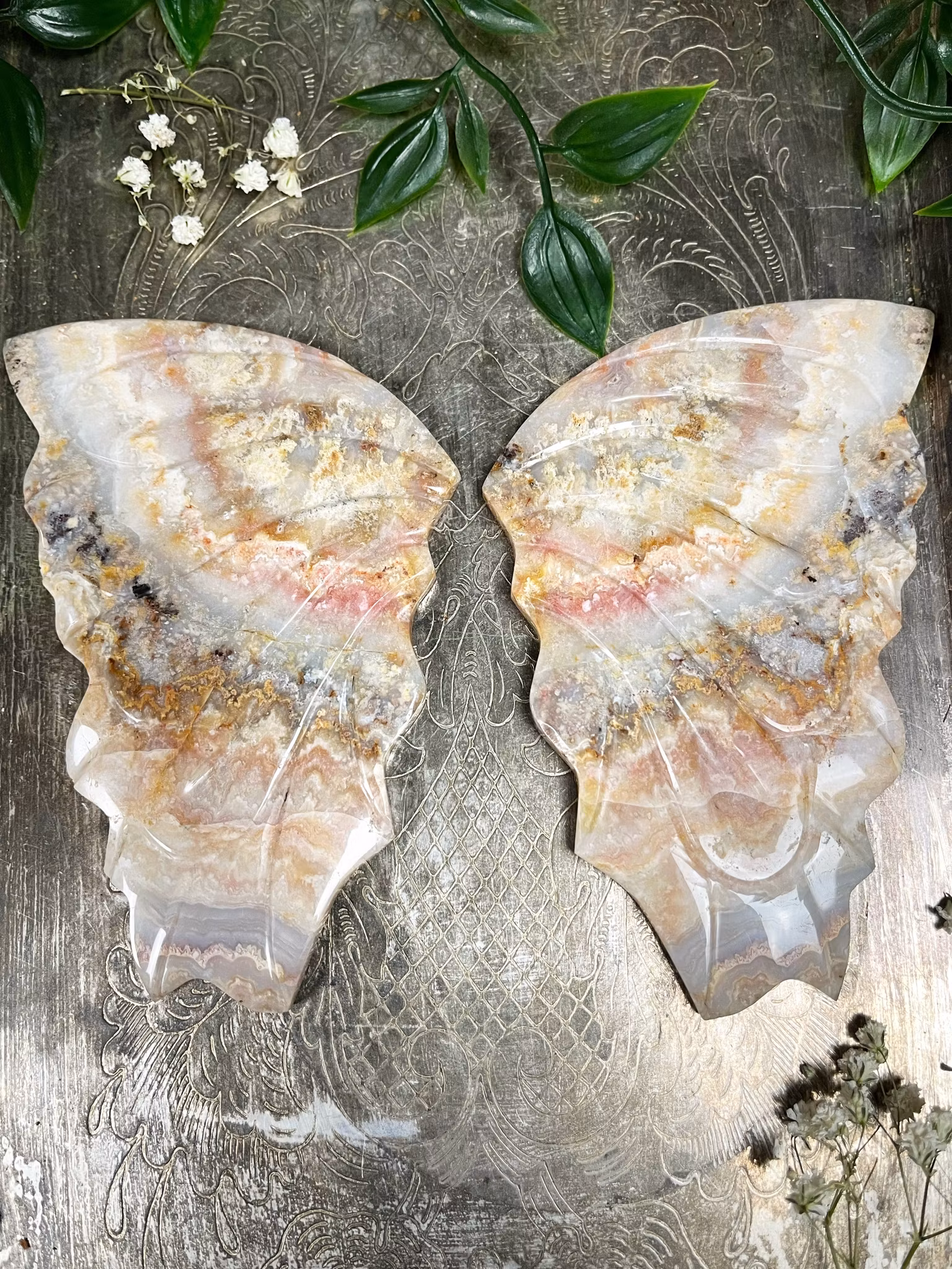 Rosa Crazy lace vingar