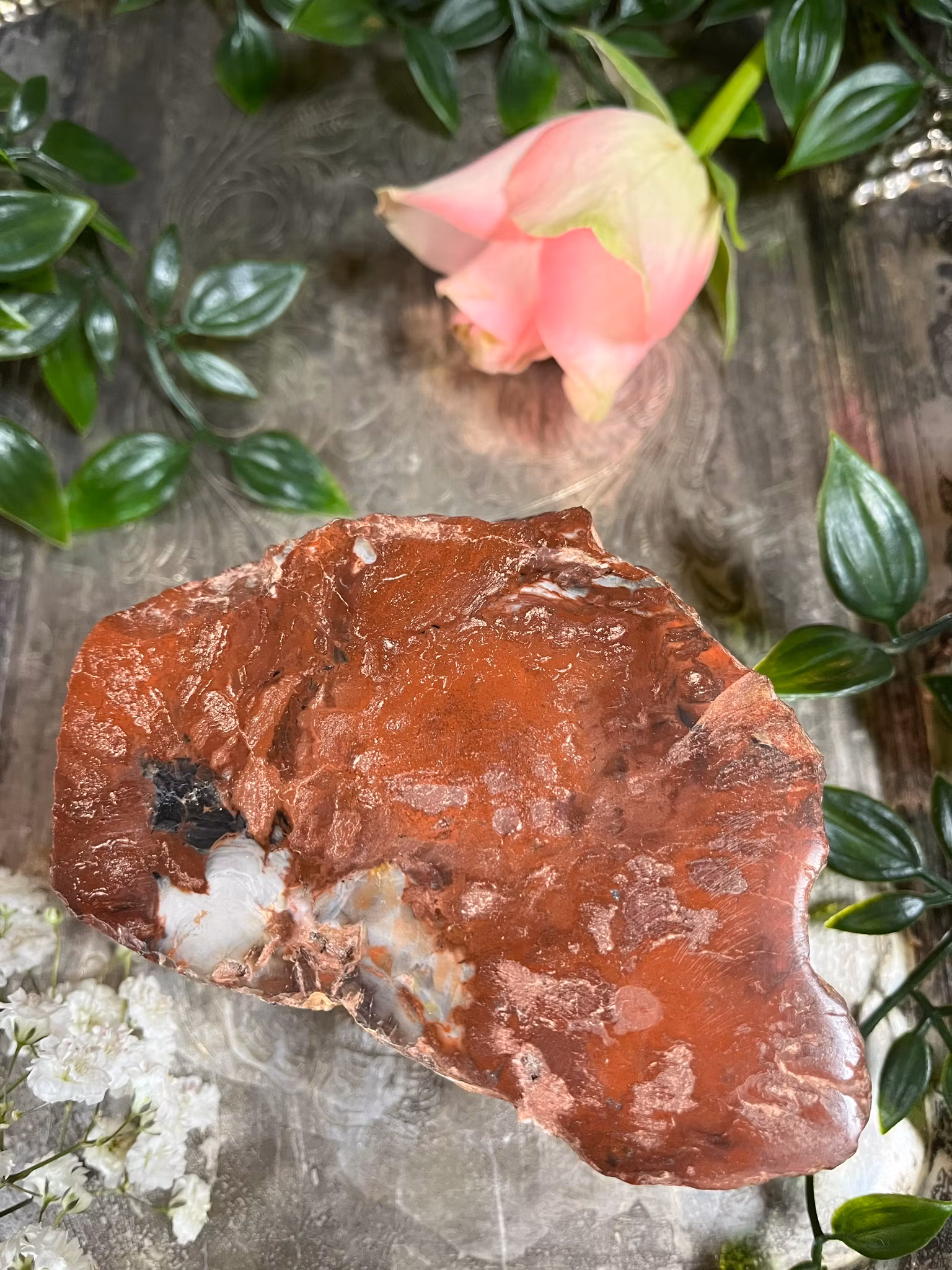 Förstenat, trä stubbe #4