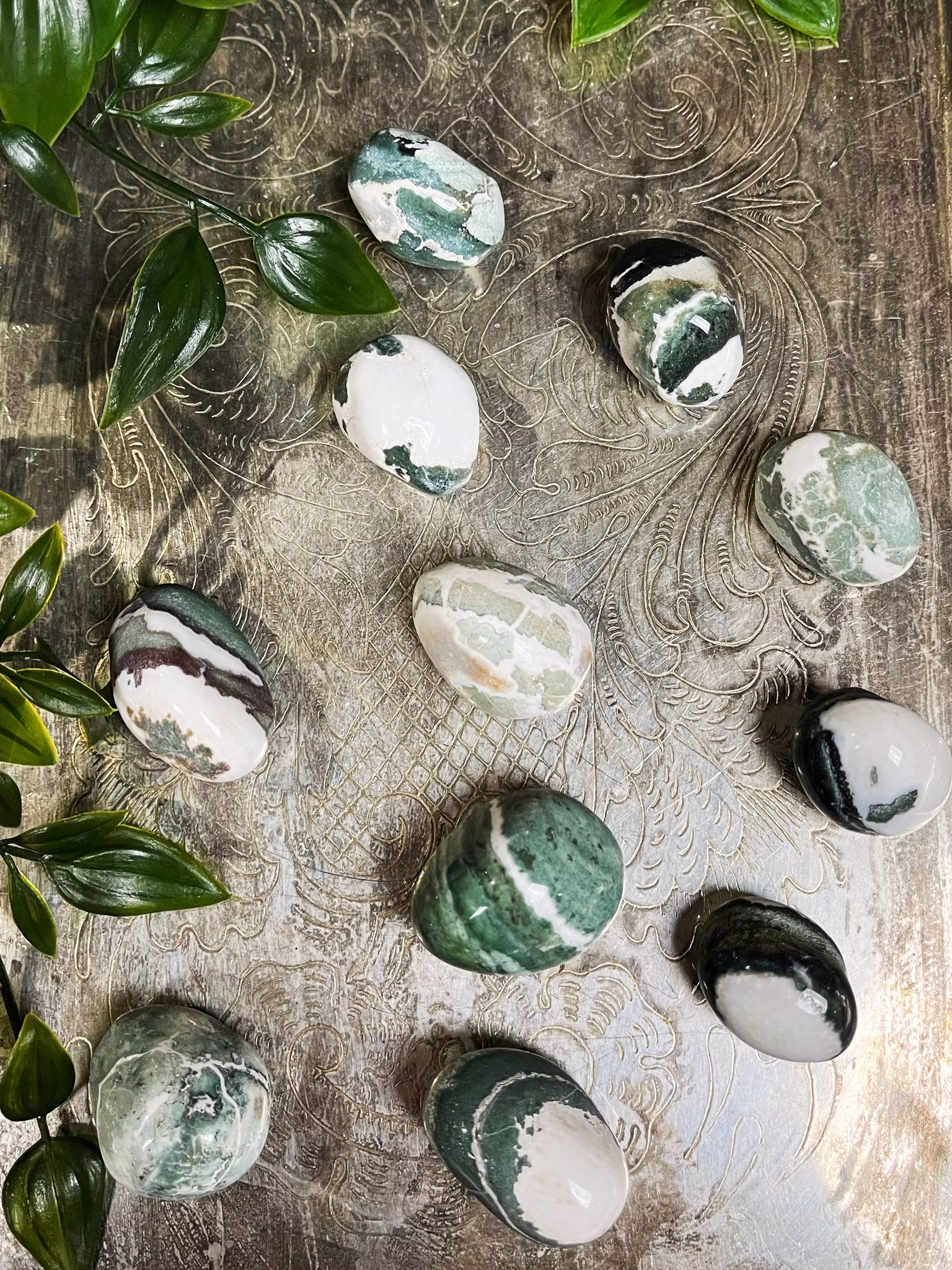 Grön Sardonyx trumlade