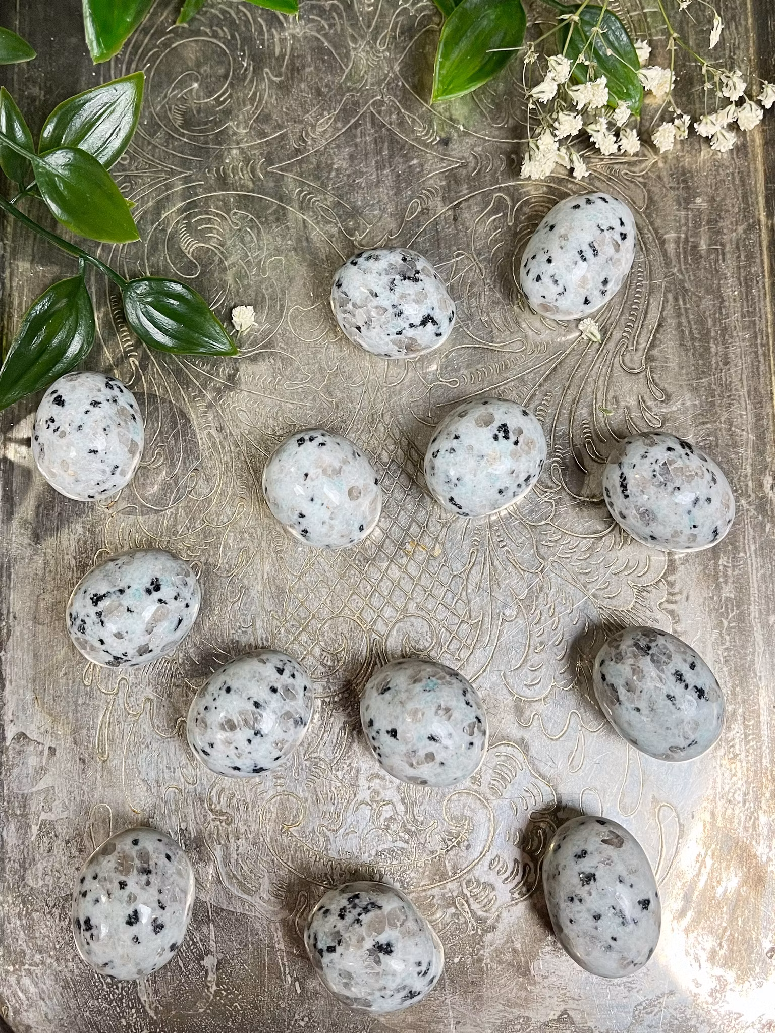 Kiwi jasper polerad cuddlestone