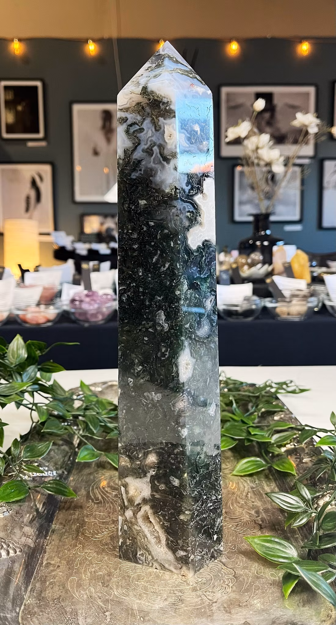 Moss agat torn polerade XXL