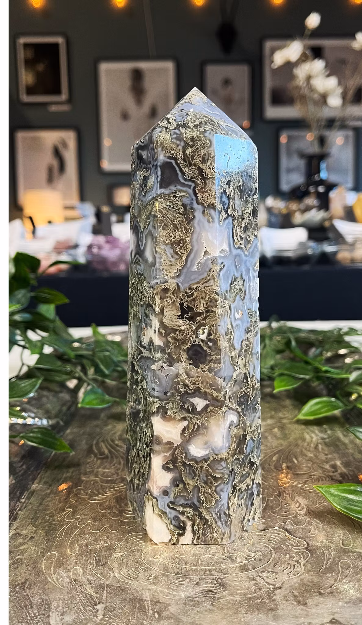 Moss agat torn polerade L