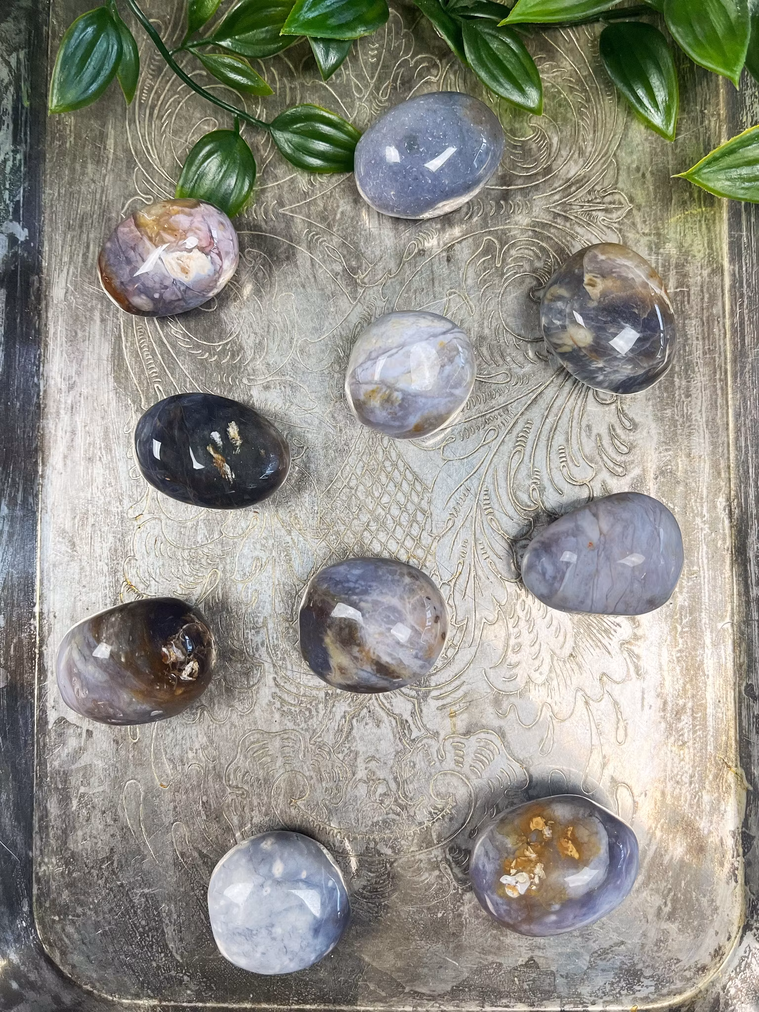 Kalcedon cuddlestone