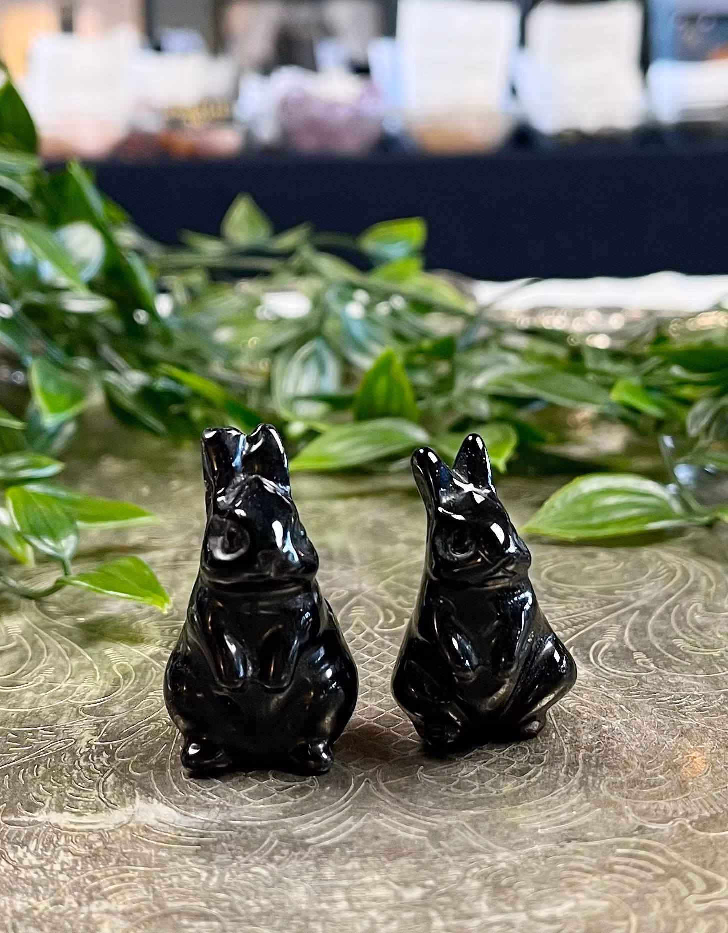 Kanin  svart obsidian