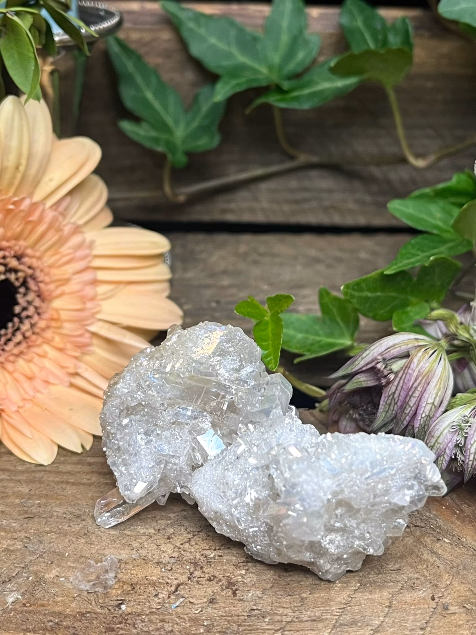 Angel Aura kvarts, kluster #C